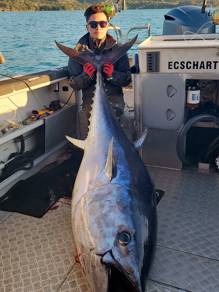 Image for <small>Southern</small> Bluefin Tuna